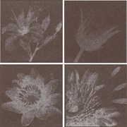 DECOR SOPHISTICATION MIX BROWN S08/P