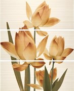 Decor Set (3) Casanova/Liberty Crema 20x50 (комплект 3шт)