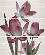 Decor Set (3) Casanova/Liberty Perla 20x50 (1 штука)