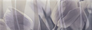 Decor Intense Violette 20*60