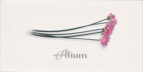 Decor ALIUM Blanco 10x20