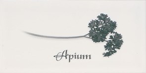 Decor APIUM Blanco 10x20