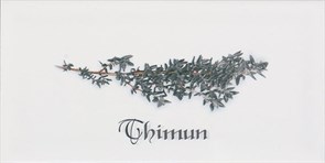 Decor THIMUN Blanco 10x20