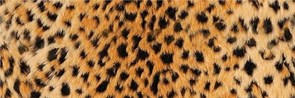 Decor OKAVANGO 20*60