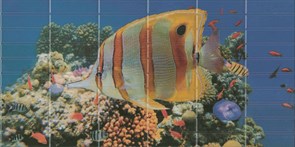 Sunset Aquarium 1