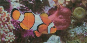 Sunset Aquarium 2