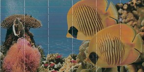 Sunset Aquarium 3