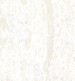Taco White 30*30