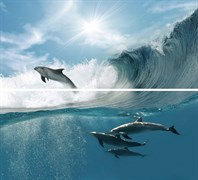 Decor Goa Acuario-2 (комплект 2 плитки) 60*54