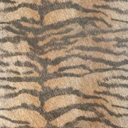 Tiger 45*45