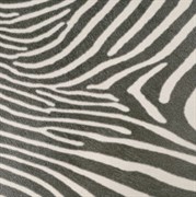 Zebra 45*45