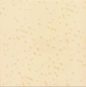 Almero Giallo 33,3x33,3