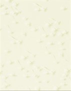 Almeria Zefir 25x35