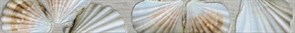 Breeze Бордюр многоцветный (BZ1J141DT) 5x44