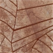 Neapol Brown nar. 11x11