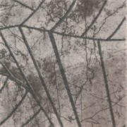 Neapol Grys nar. 11x11