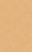 Liryka Beige 30*45