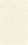 Liryka Bianco 30*45