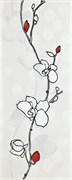 Ikaria Rosa Beta ins. 20*50