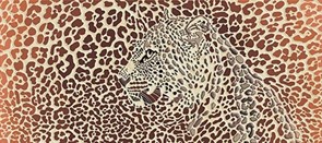 Gerbera Safari Декор многоцветный (GB2G111) 20x44