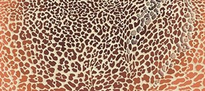 Gerbera Safari Декор многоцветный (GB2G112) 20x44