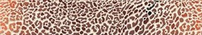 Gerbera Safari Бордюр многоцветный (GB1J111) 8x44