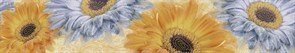 Бордюр Gerbera 8x44