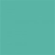 FJ4R022R Flavis Green 42*42