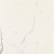 Плитка MM9G Allmarble Statuario Lux 58*58