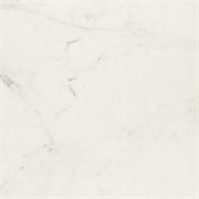 Плитка MMGM Allmarble Altissimo 60*60