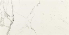 Плитка MMGQ Allmarble Statuario Lux 58*116