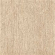 Керамогранит Bali Dune rect. 60х60