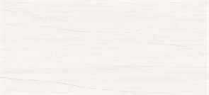 Плитка облиц. керамич. MARVEL BIANCO DOLOMITE 110, 50x110