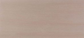Плитка облиц. керамич. MEK ROSE, 50x110
