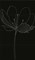 255D9RD DREAM A BLACK - фото 44859