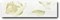 Silk Lis. Poppy Mix 2 - фото 45132