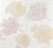 Radiance White Flowers C2 - фото 45161