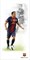 FCB XAVI R3060, 30x60 - фото 48217