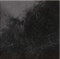 Керамогранит Nero Marquina Lux MK0K 58*58 - фото 54690