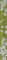 Бордюр Цветы на темном 40x4.8 фисташковый - фото 59535