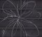 BLACK POISON, 25x60x8 - фото 62257