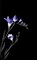 Spring czarny 1 centro Декор 25х40 - фото 63780
