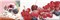 Decor Candy Fruits 04 Декор 10x30 - фото 64284