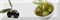 Decor Olives 02 Fluor Декор 10x30 - фото 64320