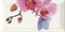 Decor Orchidea 4 Декор 10x20 - фото 65728