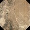 Olimpia Marron Pl Керамогранит 44x44 - фото 66557
