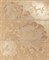 Desire Champagne Flower C3 60x50