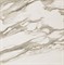 S.M. Calacatta Gold Rett 60x60