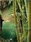 C-NT2H023D Nature Dao 3 панно (компл из 3-х шт) 80x60