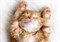 PS2M052D Pets Cat 2 декор 25x35 - фото 70720
